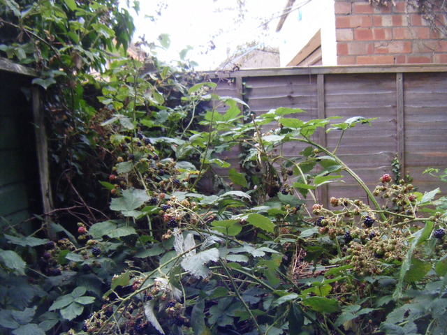 dscf2120.jpg